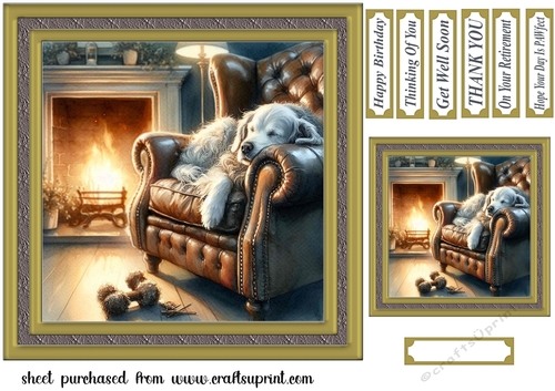 Im just resting my eyes card front 15