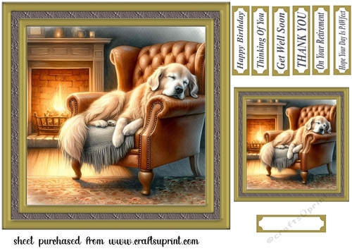 Im just resting my eyes card front 16