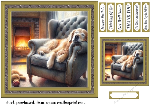 Im just resting my eyes card front 17