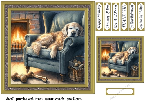 Im just resting my eyes card front 18