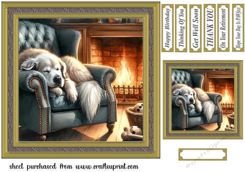 Im just resting my eyes card front 20