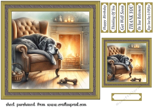 Im just resting my eyes card front 22