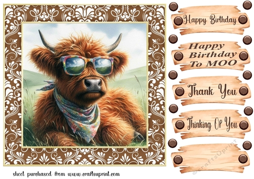 Highland cow chillin card front 2