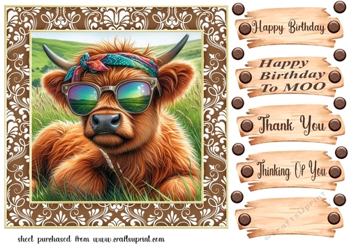 Highland cow chillin card front 6