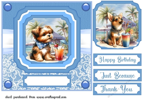 Pup with cocktail on beach card front 2