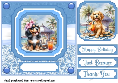 Pup with cocktail on beach card front 6