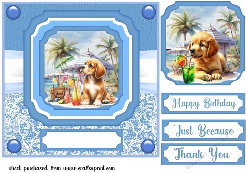 Pup with cocktail on beach card front 7