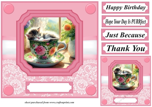 Tea cup kitten card front 5