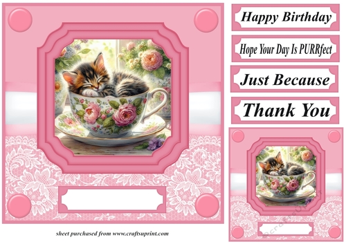 Tea cup kitten card front 6