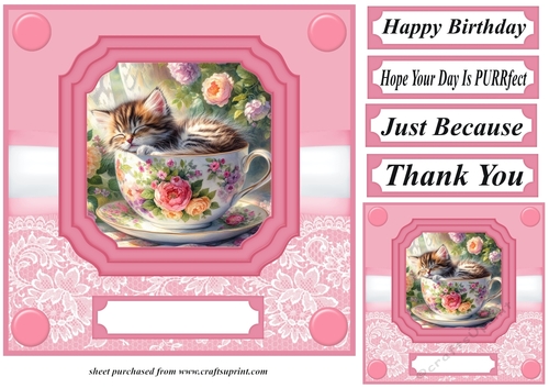Tea cup kitten card front 7