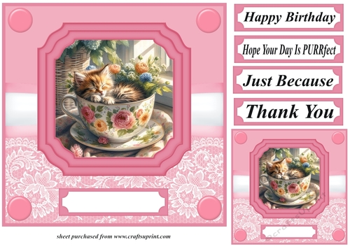 Tea cup kitten card front 8