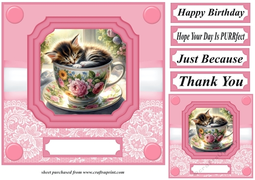 Tea cup kitten card front 11