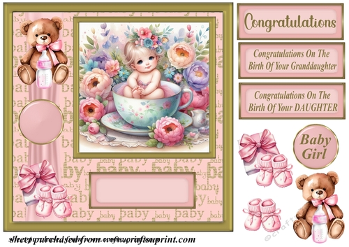 Baby girl card front (n) 1