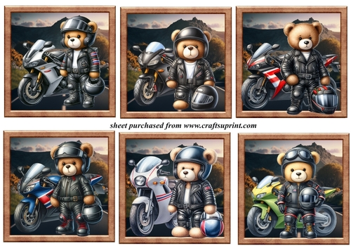 6 Motorbike ted toppers 2