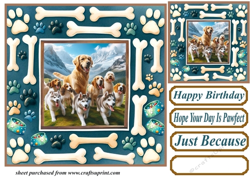 Did someone say dinner time card front 5
