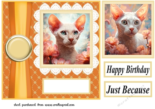 Floral Devon Rex cat card front 2
