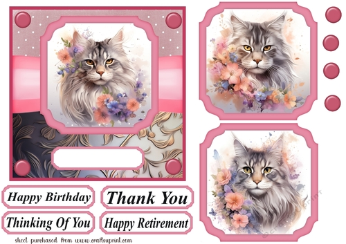 Maine Coon card front 1
