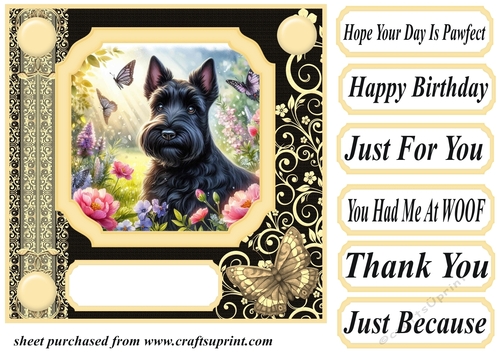 Black and yellow butterfly pup card front 1