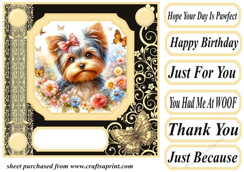 Black and yellow butterfly pup card front 2