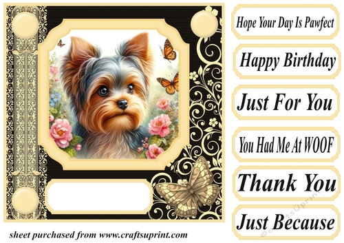 Black and yellow butterfly pup card front 3
