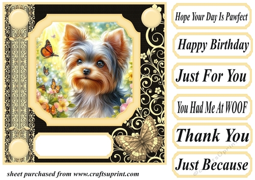 Black and yellow butterfly pup card front 4