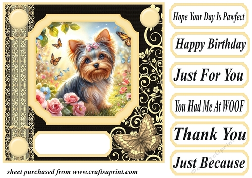 Black and yellow butterfly pup card front 5