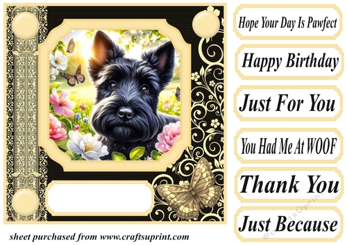 Black and yellow butterfly pup card front 6
