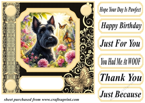 Black and yellow butterfly pup card front 7