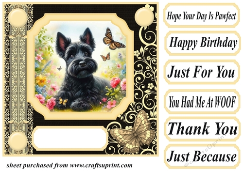 Black and yellow butterfly pup card front 8