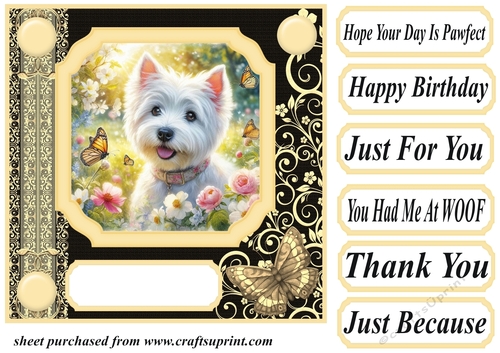 Black and yellow butterfly pup card front 12