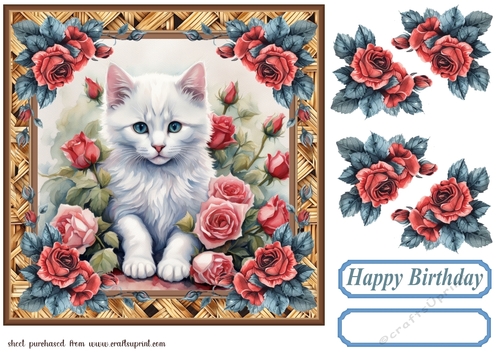 Kitten in roses card front 4