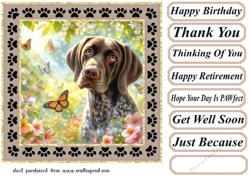 Paw frame butterfly pup card front 3
