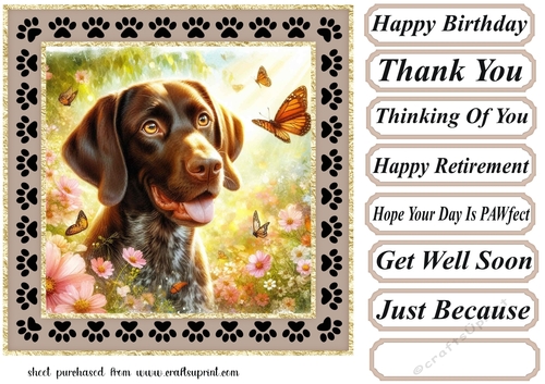 Paw frame butterfly pup card front 4