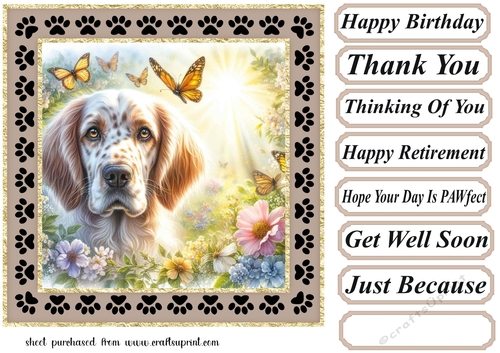 Paw frame butterfly pup card front 6