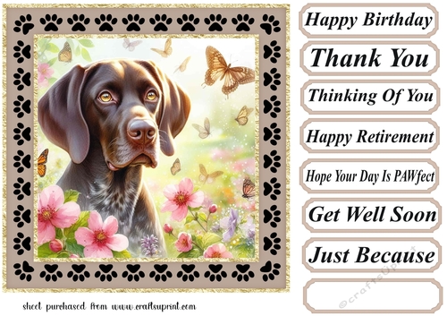 Paw frame butterfly pup card front 7