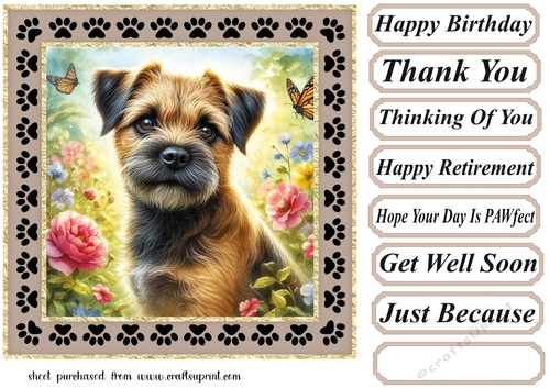 Paw frame butterfly pup card front 8