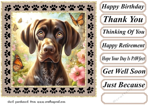 Paw frame butterfly pup card front 9