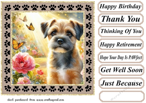 Paw frame butterfly pup card front 10