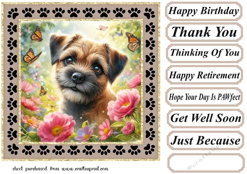 Paw frame butterfly pup card front 11