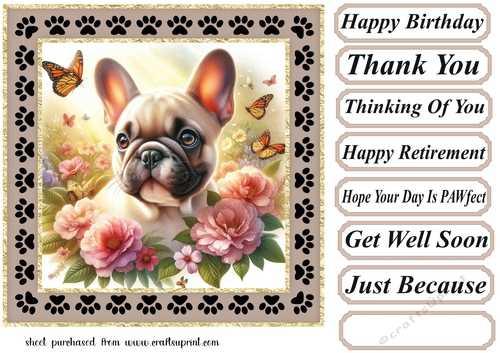 Paw frame butterfly pup card front 13
