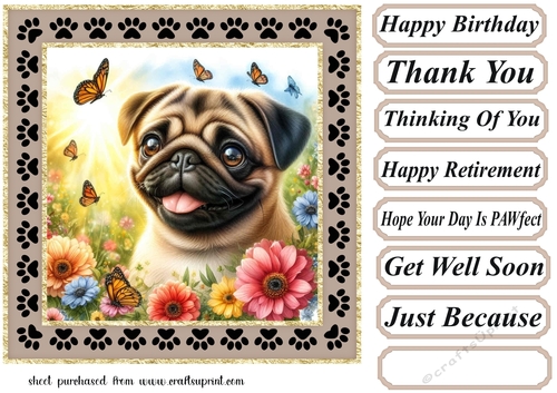 Paw frame butterfly pup card front 16