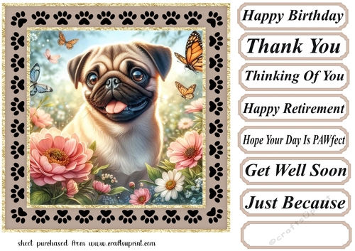 Paw frame butterfly pup card front 17