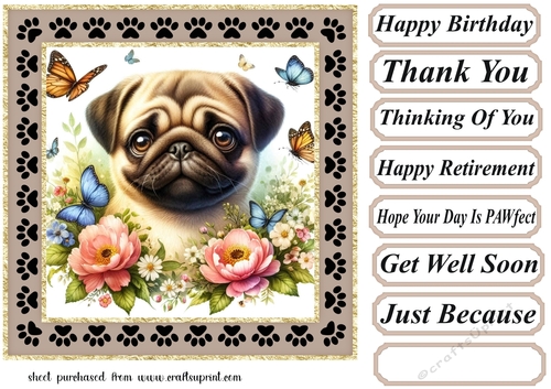 Paw frame butterfly pup card front 19