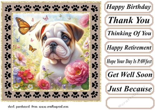 Paw frame butterfly pup card front 21