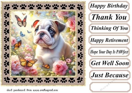 Paw frame butterfly pup card front 22