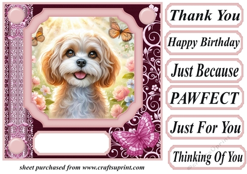 Pink butterfly pup card front 3