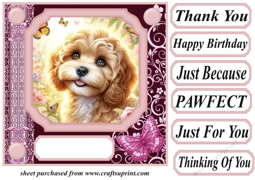 Pink butterfly pup card front 4