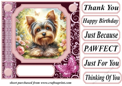 Pink butterfly pup card front 5