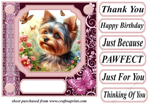 Pink butterfly pup card front 6