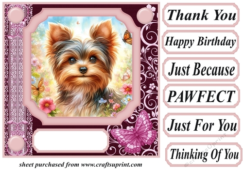 Pink butterfly pup card front 7